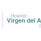 Hospital Virgen del Alcázar Lorca Logo