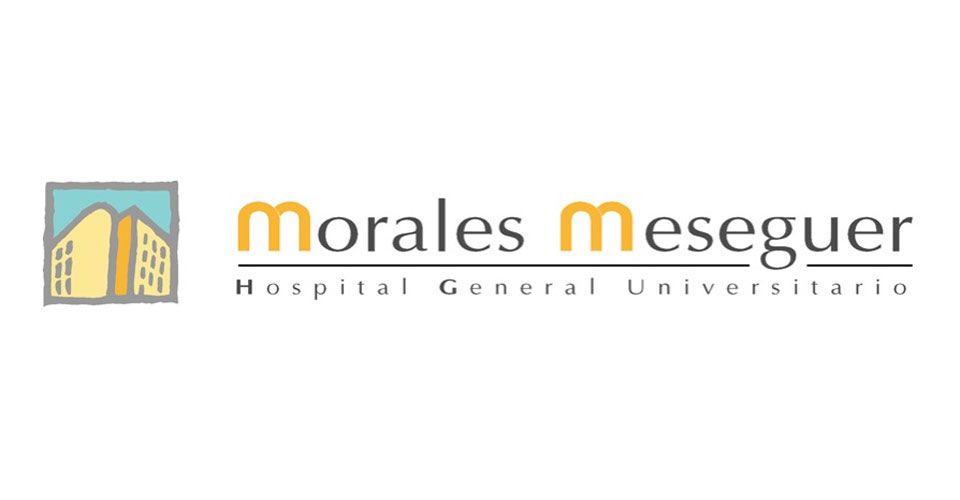 Hospital Morales Meseguer Logo