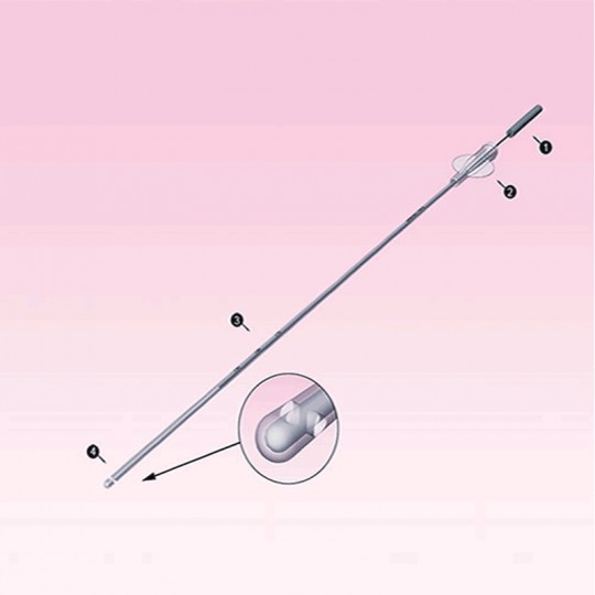 sondadeinseminacionesteril